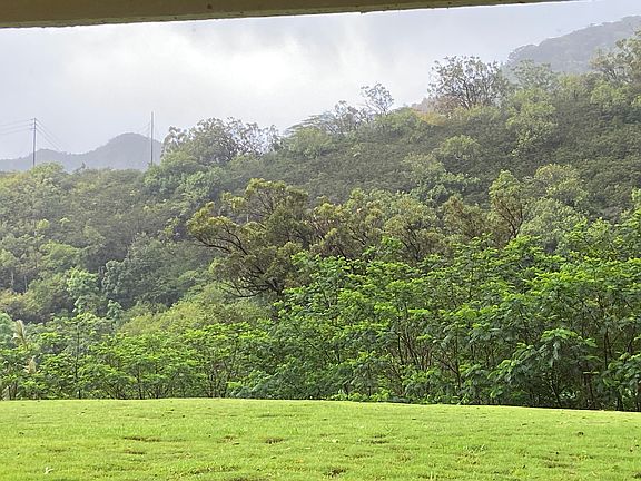 View from living room window