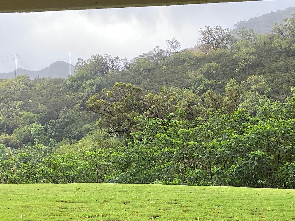 View from living room window