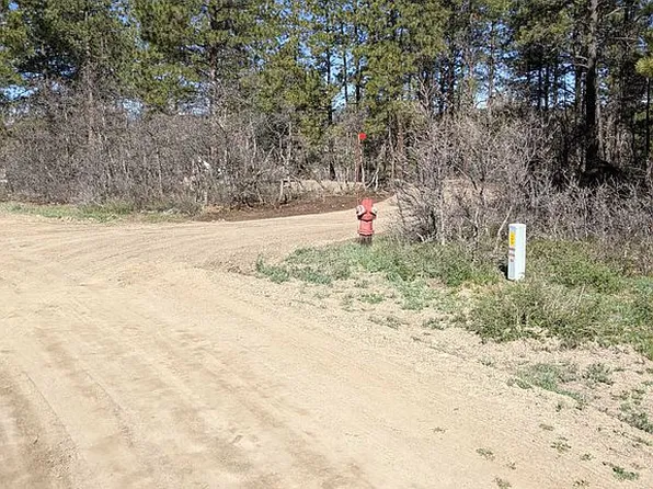 1511 Oren Rd, Pagosa Springs, CO 81147