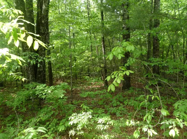 269 Bainbridge Rd, Fairfield Glade, TN 38558