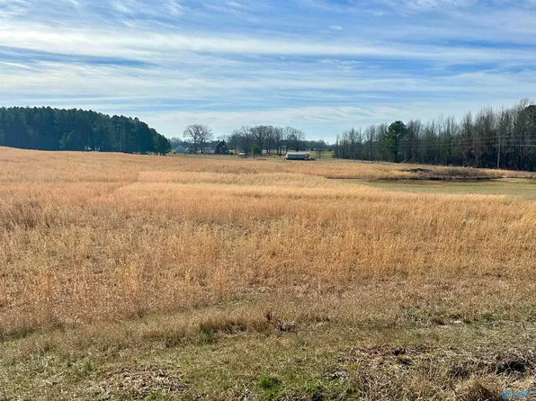 11 Vivians Rd, Anderson, AL 35610