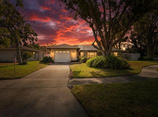 508 Sovereign Ct, Tampa, FL 33613