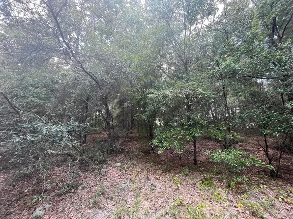 7062 Sewanee Street, Keystone Heights, FL 32656