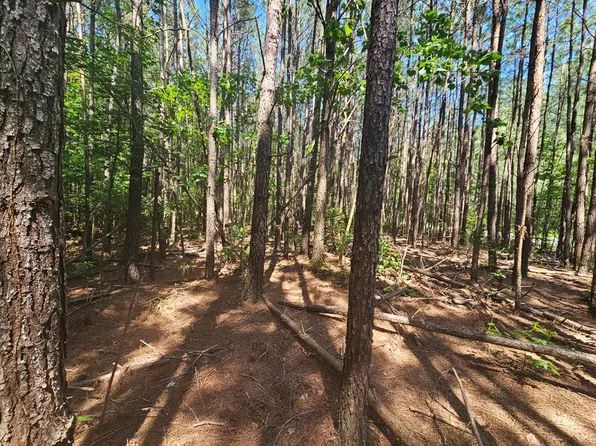 LOT 41 Stoneman Ln, Heathsville, VA 22473