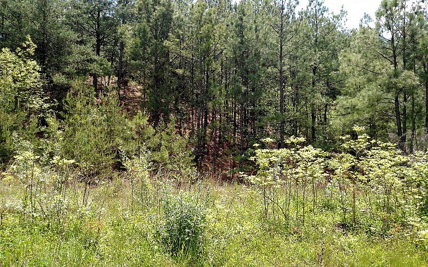 1st image of 5333 Highway 64