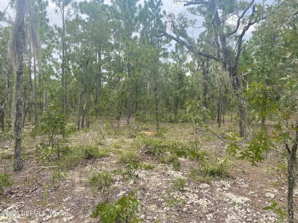 414 ROSE Trail, Interlachen, FL 32148