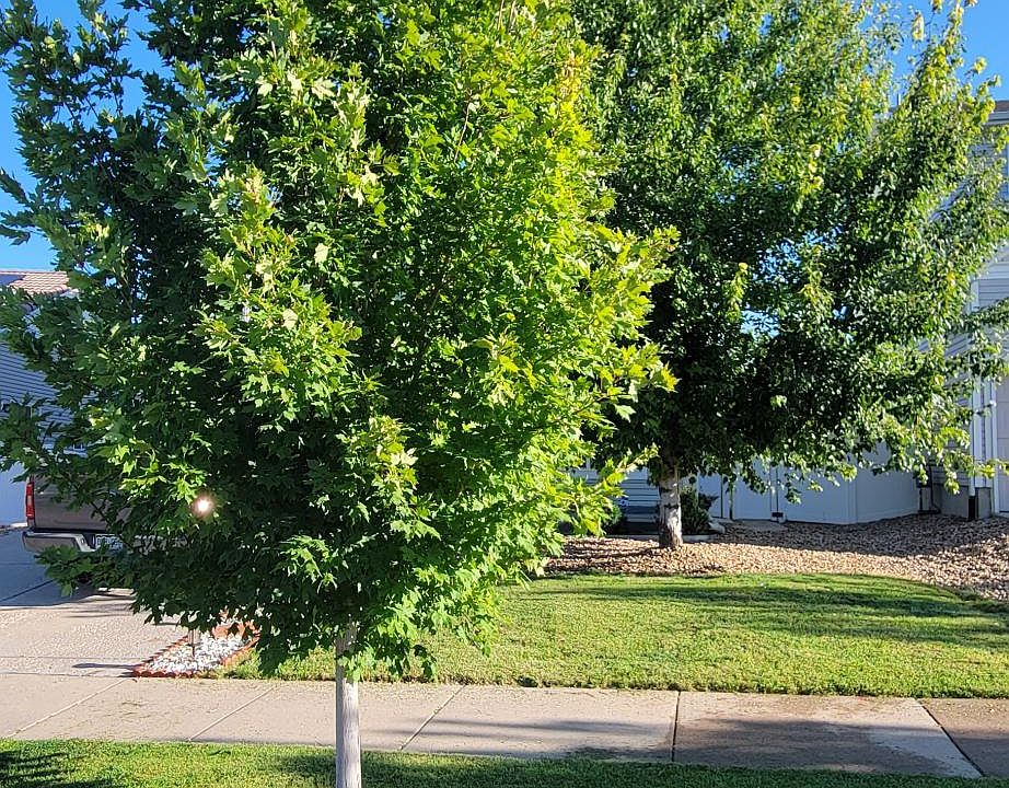 2nd image of 20089 Randolph Pl