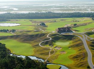 4258 True Blue Ct, Awendaw, SC 29429