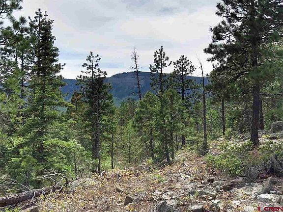 2nd image of 2160 Lake Purgatory Dr
