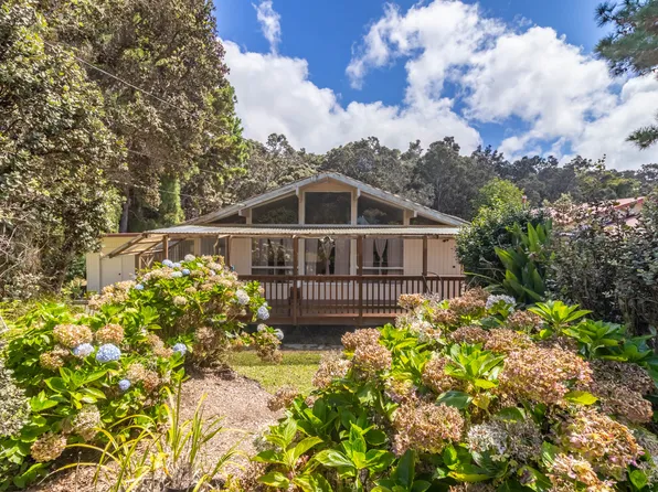 99-1808 Painiu Loop, Volcano, HI 96785