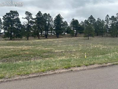 11072 Mosey Trl, Colorado Springs, CO, 80908