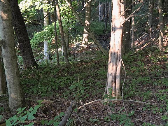 5th image of Tbd Blackberry Hill Rd.
