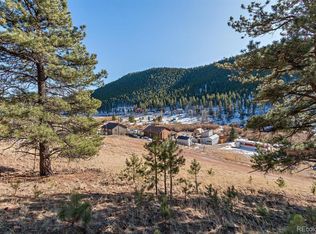 283 Bishop Rd, Bailey, CO 80421