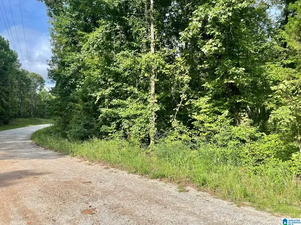 New Harmony Dr #5, Lineville, AL 36266