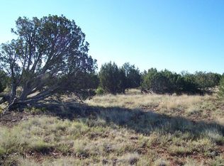 1931 Tee St, Show Low, AZ 85901