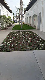 Desert Oasis — Photo 14