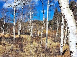 144 Gray St, Bailey, CO 80421