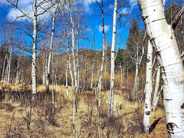 144 Gray Street, Bailey, CO 80421