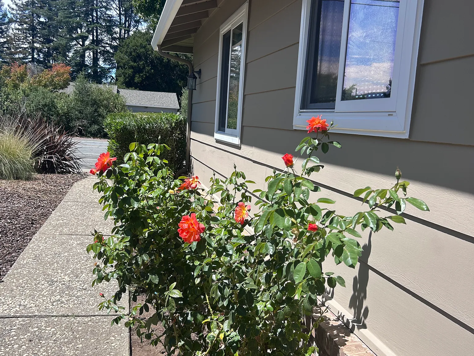 3 bed, $5,000 — Photo 2