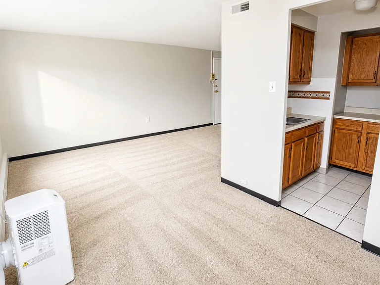 Carpeted 1 Bed/1 Bath (Unit 501)