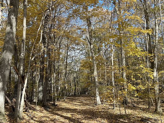 3rd image of 0 Highway 231 S Lot 0