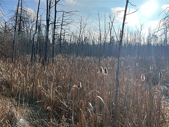4th image of N11846 Brancel Road