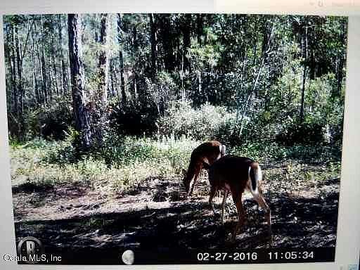 5th image of 12885 NE 215 St
