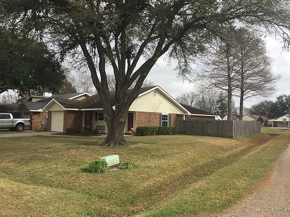 Mature Live Oak