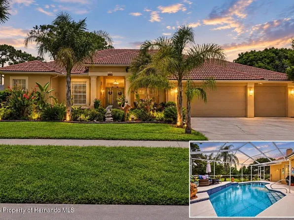 3454 Saint Ives Blvd, Spring Hill, FL 34609