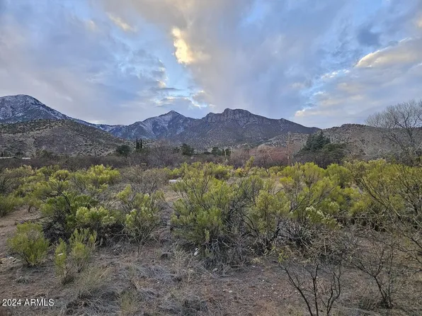 1 Acre E Catclaw Circle #B, Hereford, AZ 85615