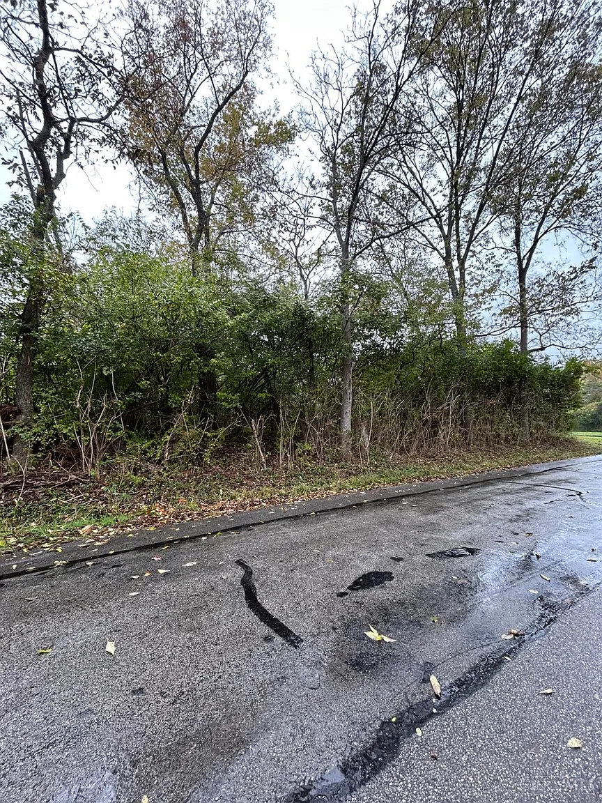 1 Bay Rd photo 1