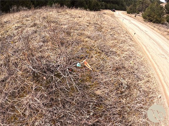 4th image of LOT 381&379 Pole Gulch Rd