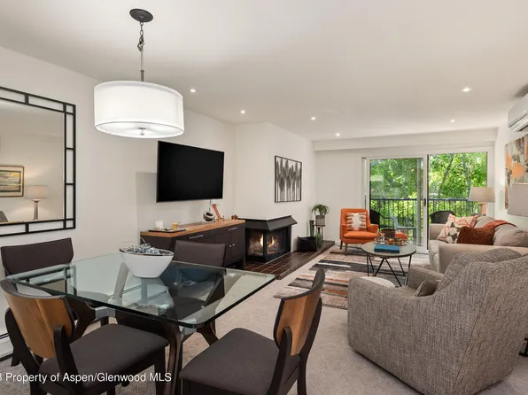 205 E Durant Ave APT 3F, Aspen, CO 81611