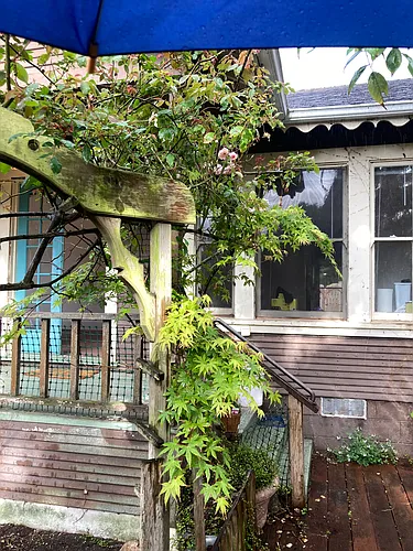 311 Alder St Photo 1 311 Alder St Photo 1