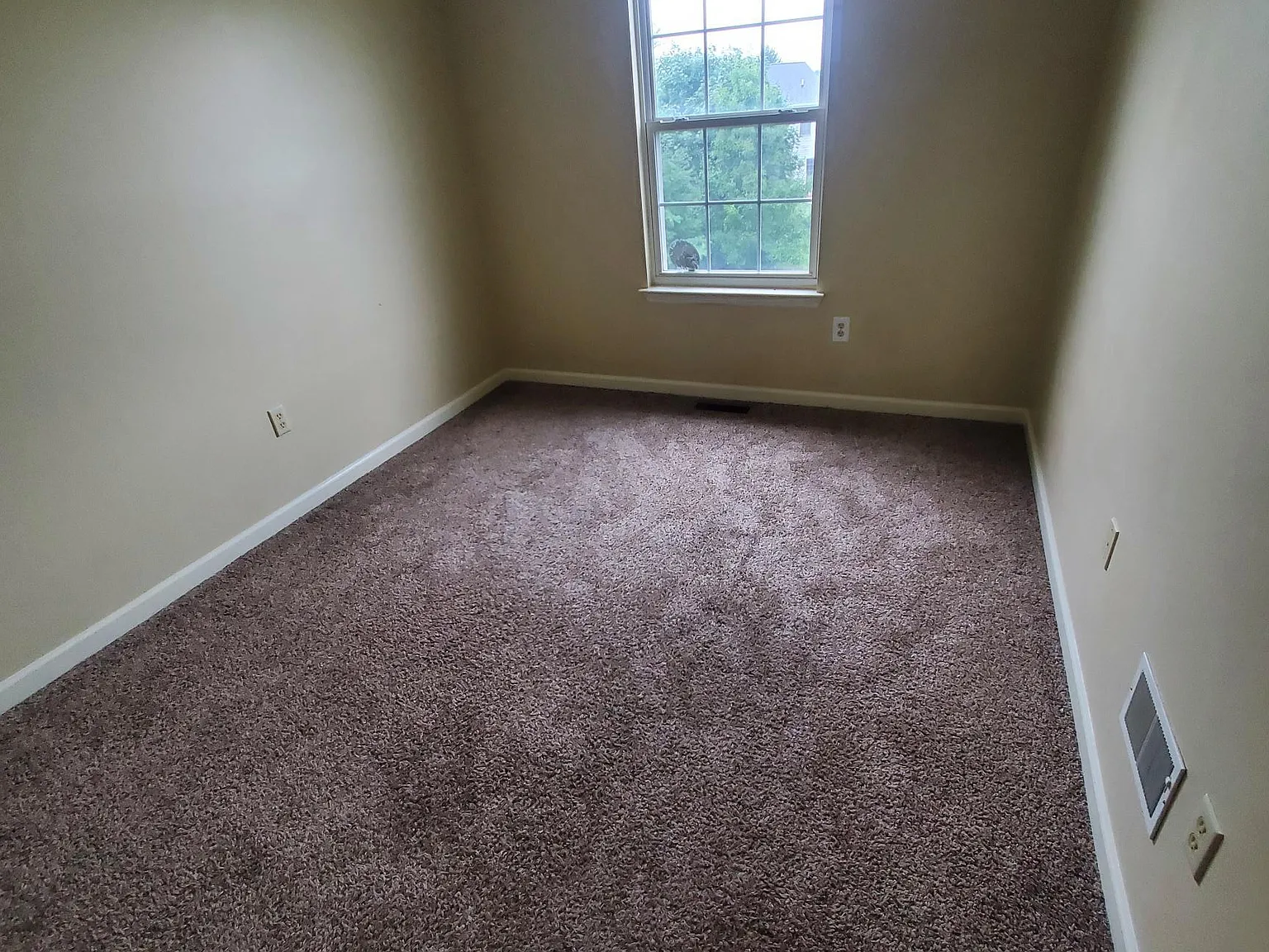 667 Walnut Tree Drive - 1 — Photo 4