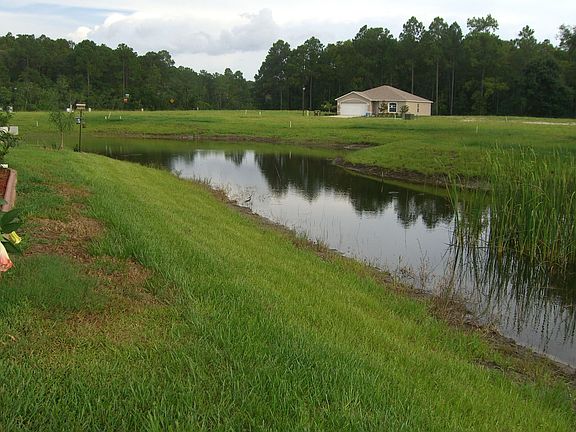 Pond