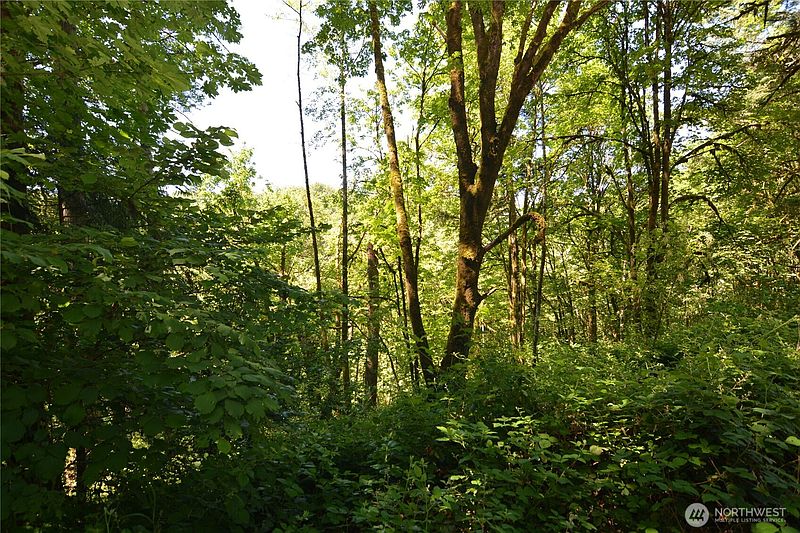 4th image of 2429 Archwood Drive
