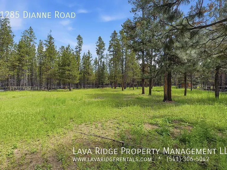 51285 Dianne Rd — Photo 63