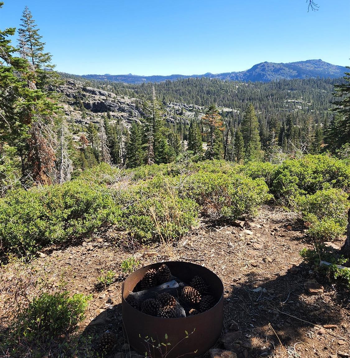 0 Forest Rte 19, Emigrant Gap, CA 95715 Zillow