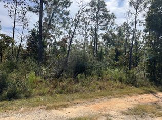 134 Cobia Ln, Alford, FL 32420