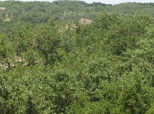 742 Flaman Rd, Canyon Lake, TX 78133