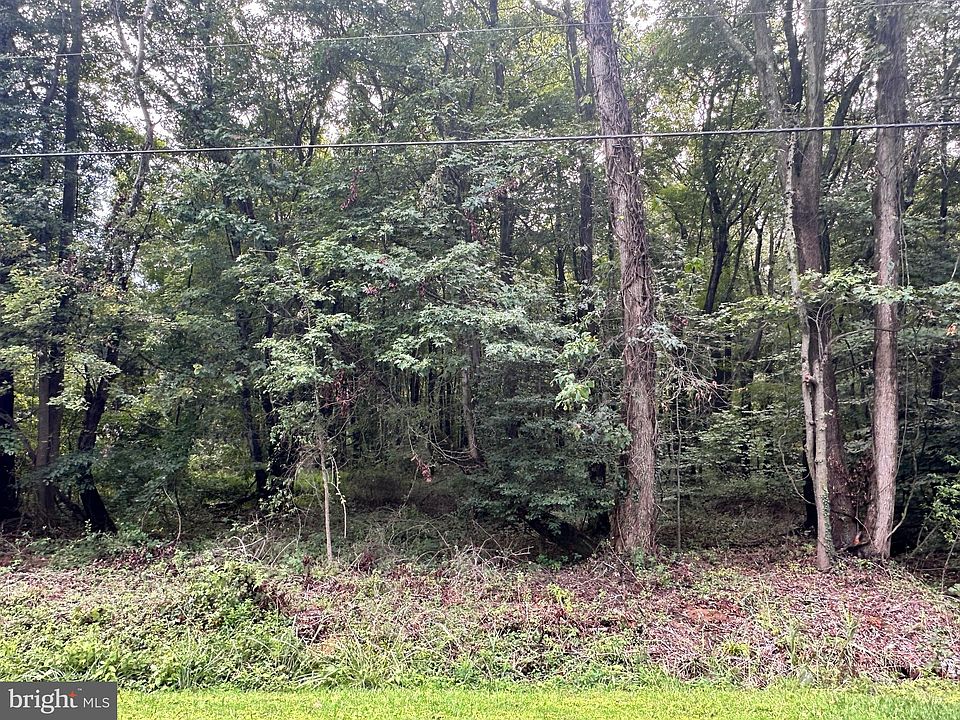 2nd image of Buck Neck Landing Rd