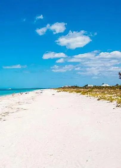 Beach area