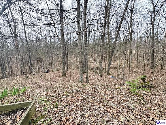 3rd image of 6383 Battle Training Rd
