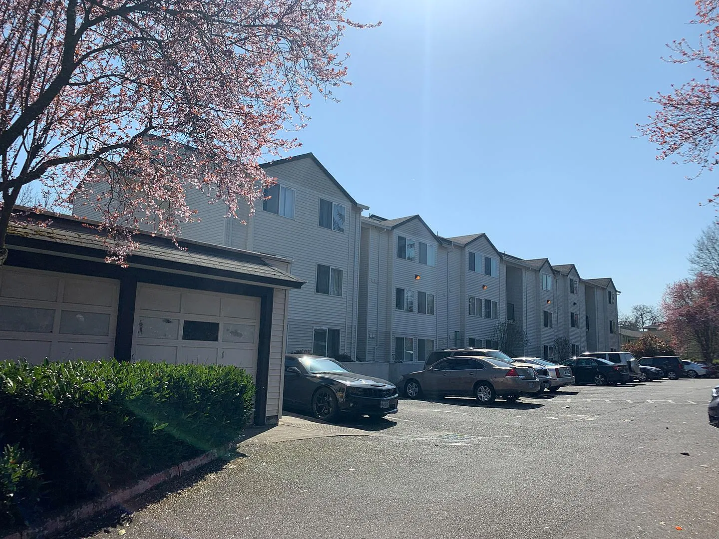 0174-06PP Lindsey Anne Apartments — Photo 1