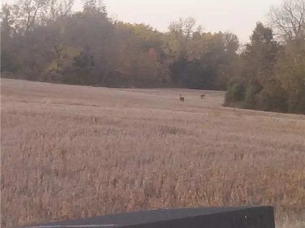 E 315th St, Drexel, MO 64742