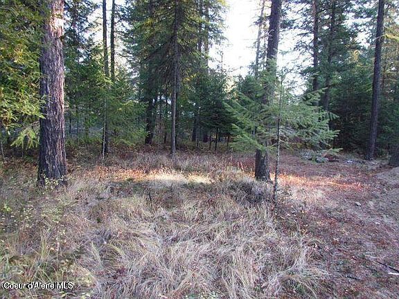 2nd image of 39 Forest Ridge Rd