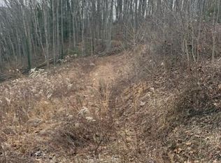 Mining Ridge Rd, Mountain City, TN 37683