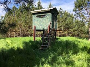 320 Daugherty Rd, Carthage, MS 39051