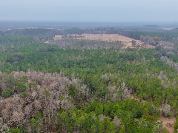 0 Edith Tillman Rd, Glennville, GA 30427